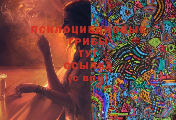 хмурый Кулебаки