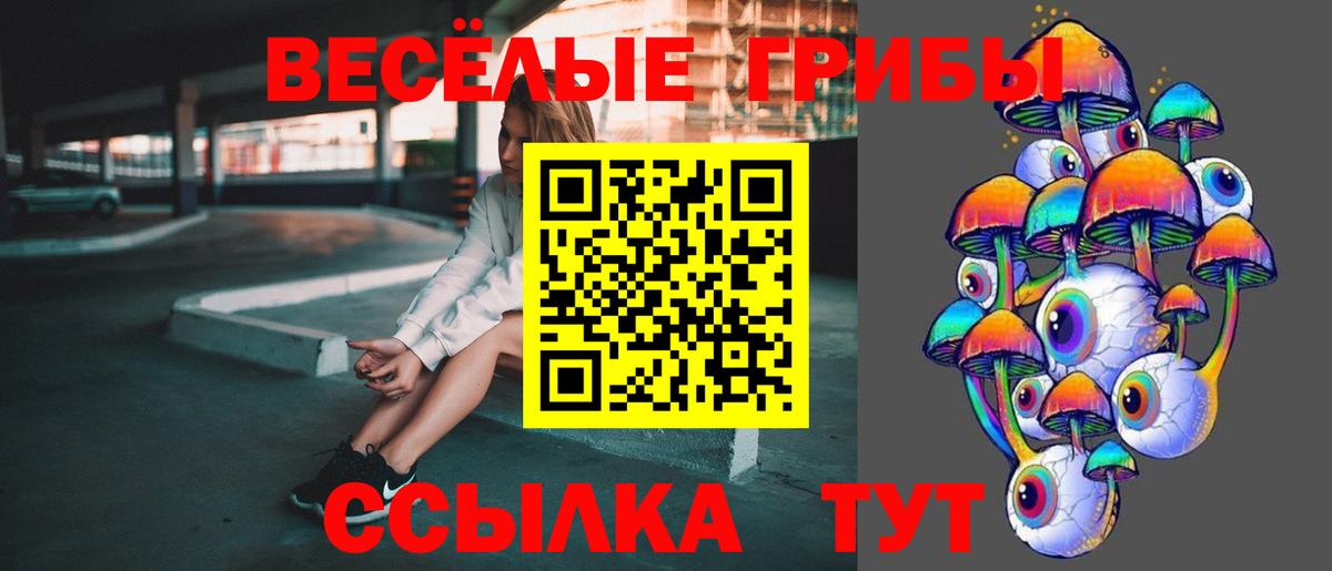 Фурманов  Галлюциногенные грибы MAGIC MUSHROOMS  Псилоцибиновые грибы прущие грибы  Вход с VPN 